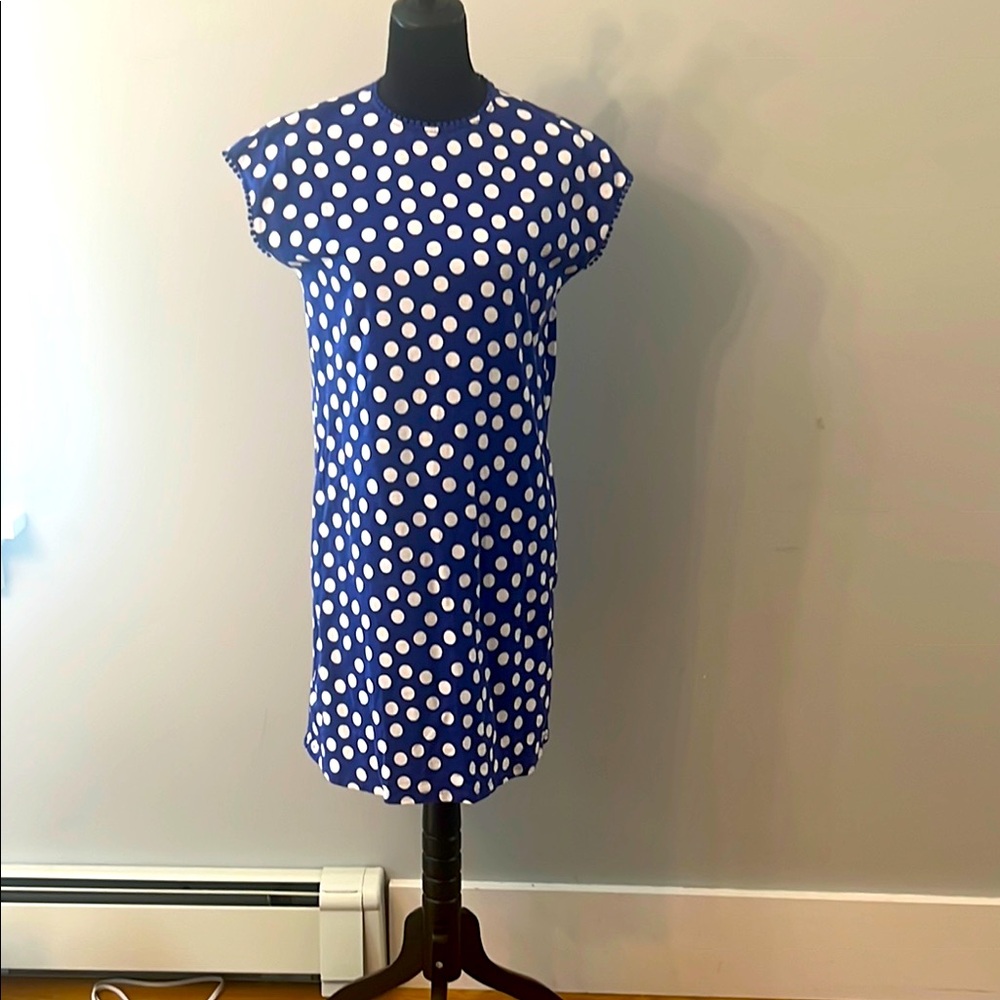Women’s Blue Polka Dot Shift Dress